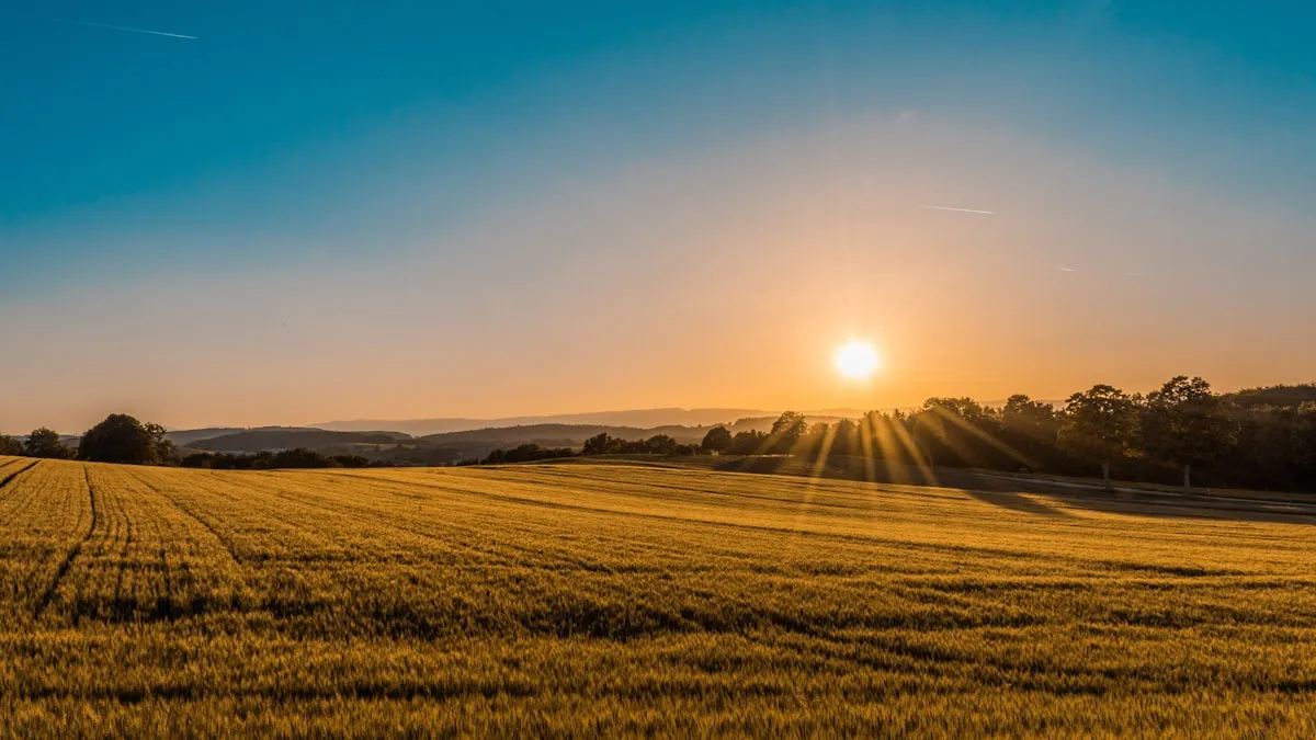 Western Australian landscape