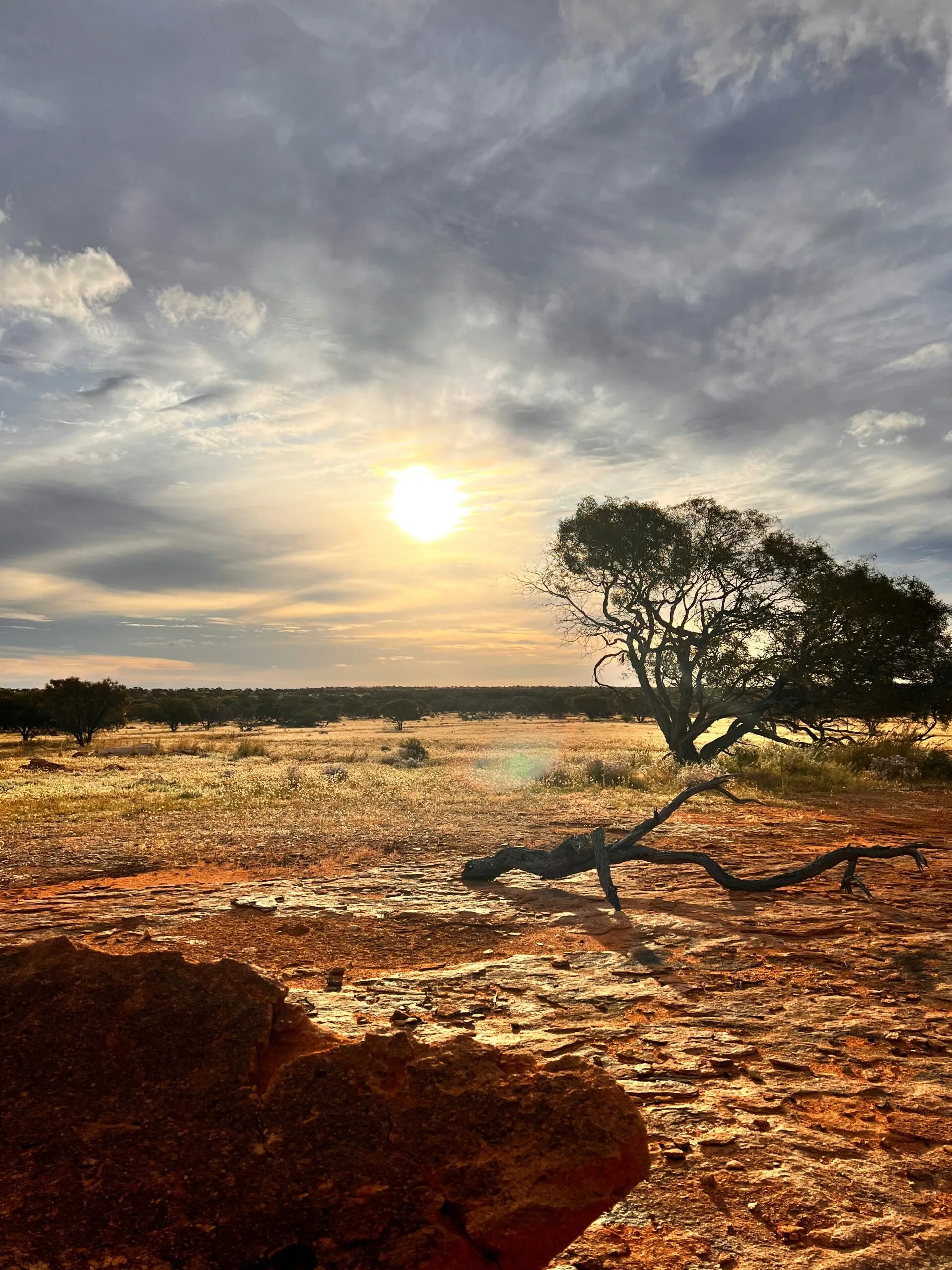Outback country at sunset